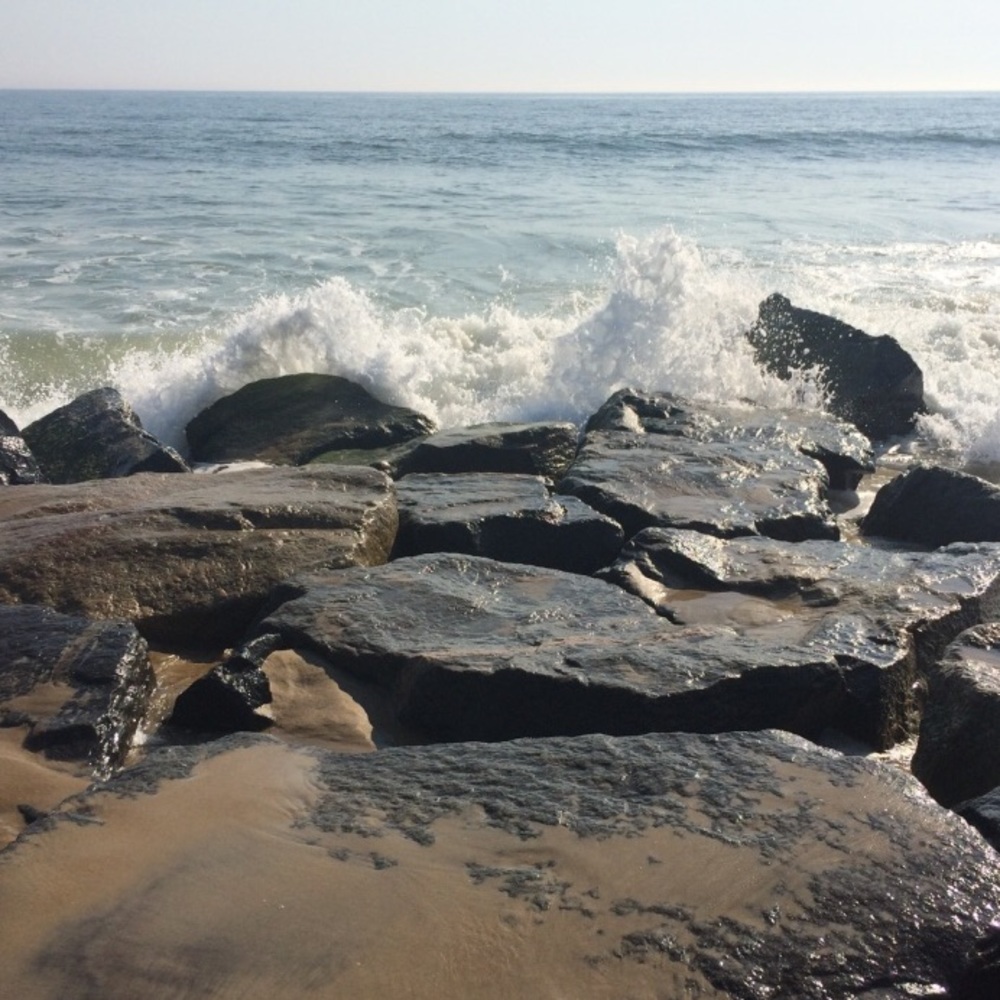 Meet your Posher, Celia